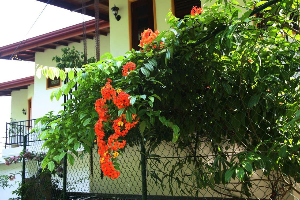 The Springfields Kandy Previously Madara Residence Kandy Extérieur photo
